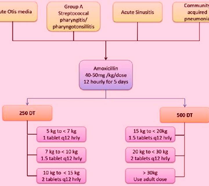Amoxil how long does amoxil stay in your system medication