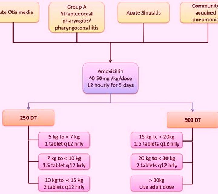 Amoxil how long does amoxil stay in your system pharmacy