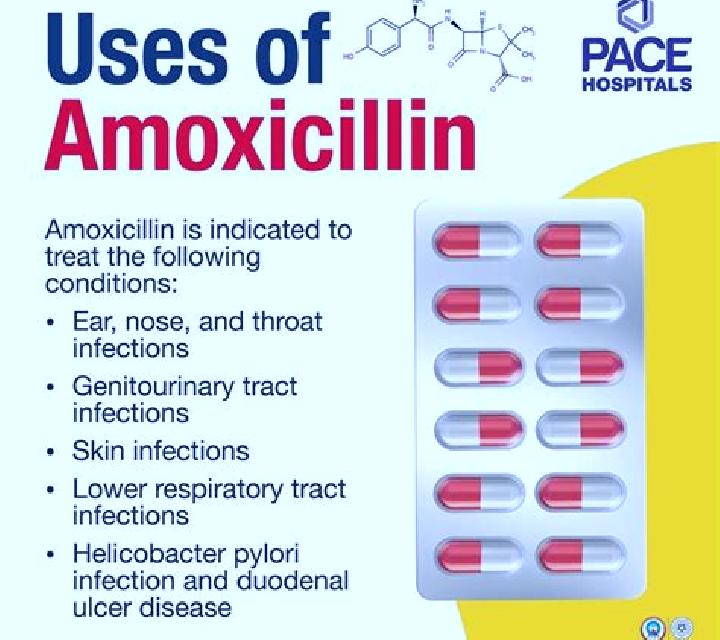 Amoxil how long does amoxil take to work medication