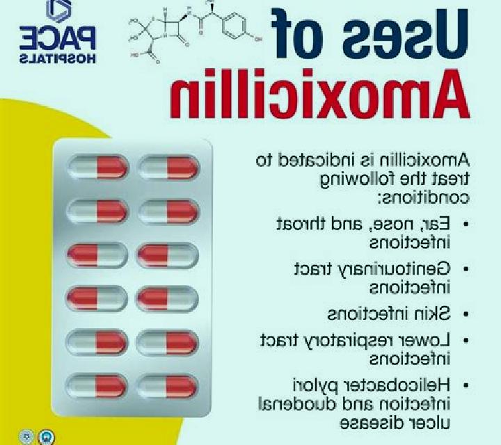 Amoxil how long does amoxil take to work pharmacy