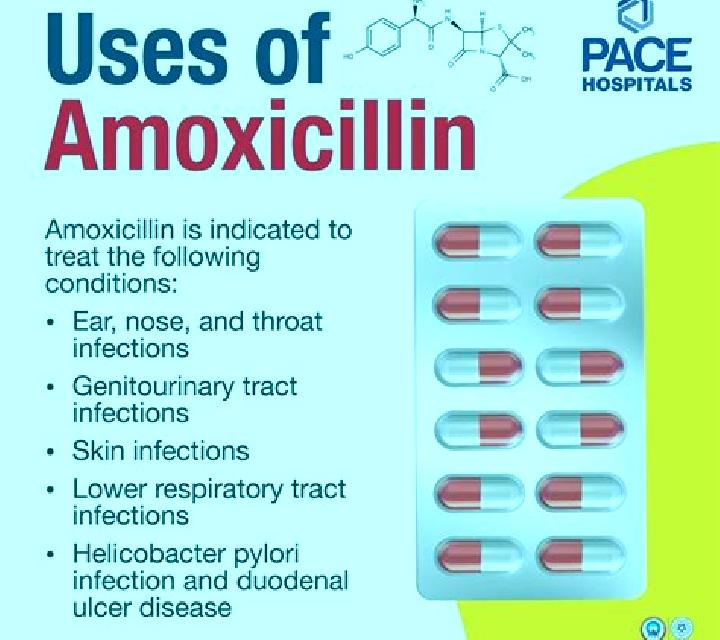 Amoxil how long does amoxil take to work tablet