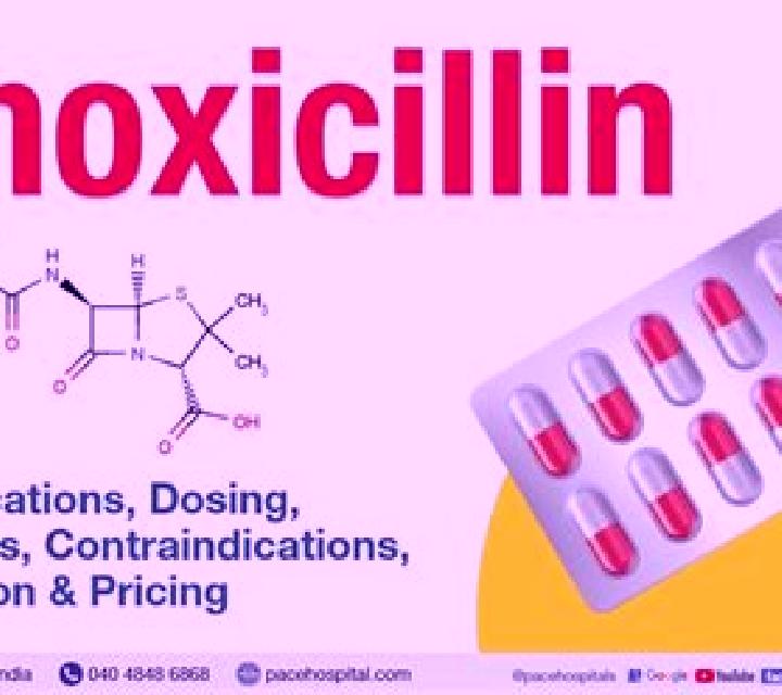 Amoxil is amoxil a penicillin medication