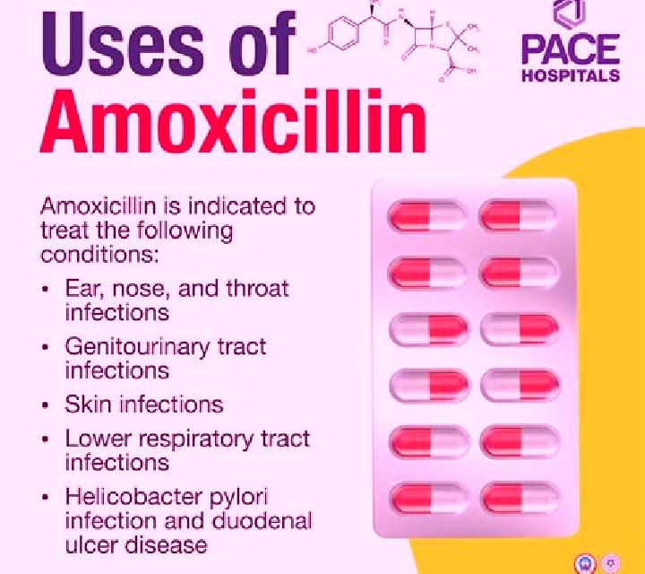 Amoxil what does amoxil treat pharmacy