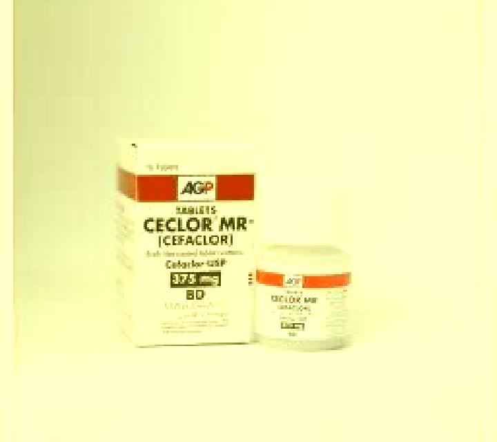 Ceclor CD pharmacy