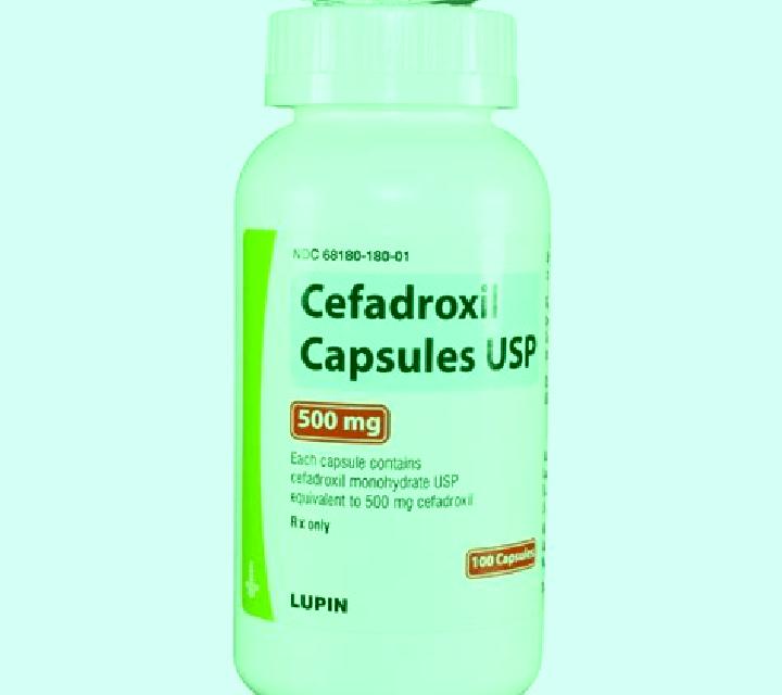 Cefadroxil pharmacy