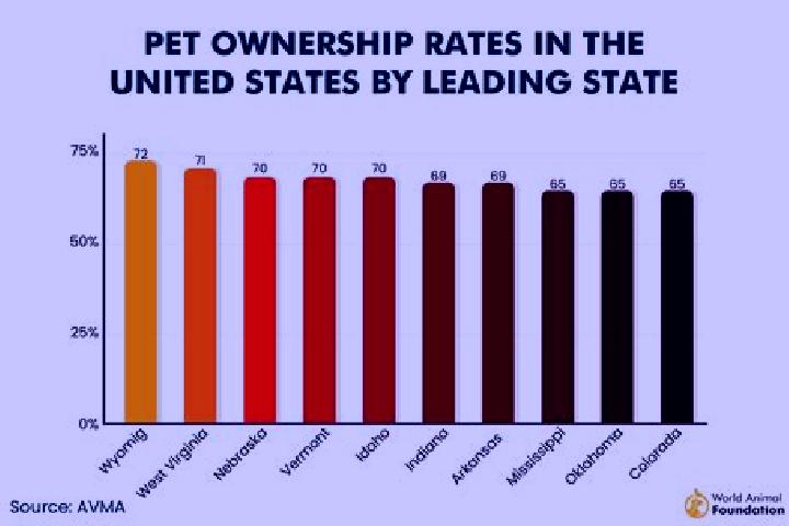 Celexa bad reviews on celexa tablet