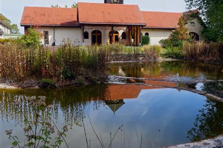 Celexa celexa and qt prolongation pharmacy
