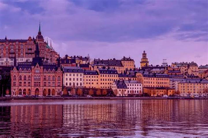 Celexa celexa and stomach pain medication