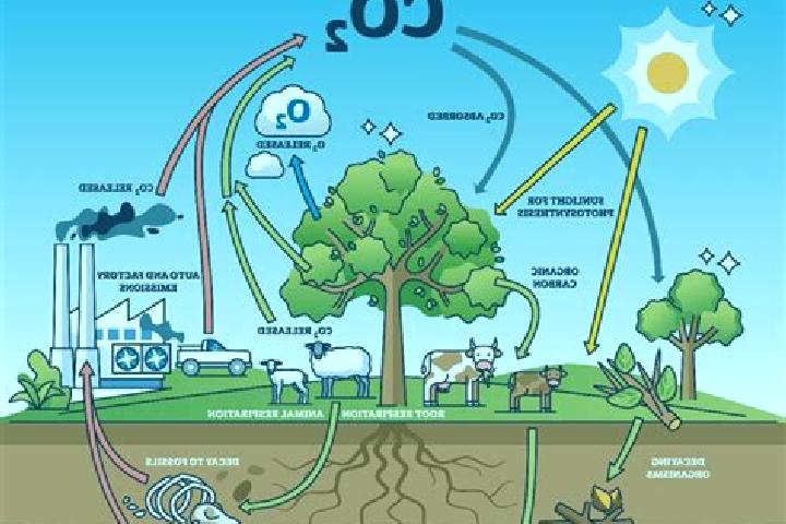 Celexa celexa liquid medication
