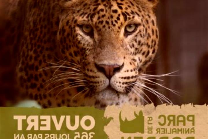 Celexa moving from celexa to wellbutrin medication