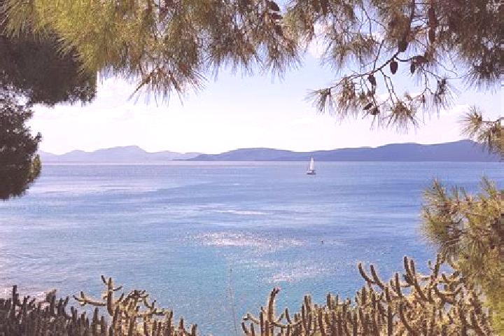 Champix man who killed wife on champix pills