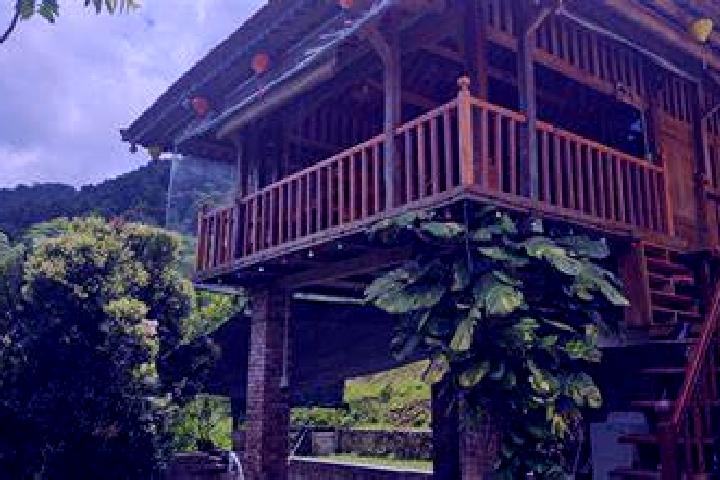 Cialis what is difference between cialis and viagra pharmacy