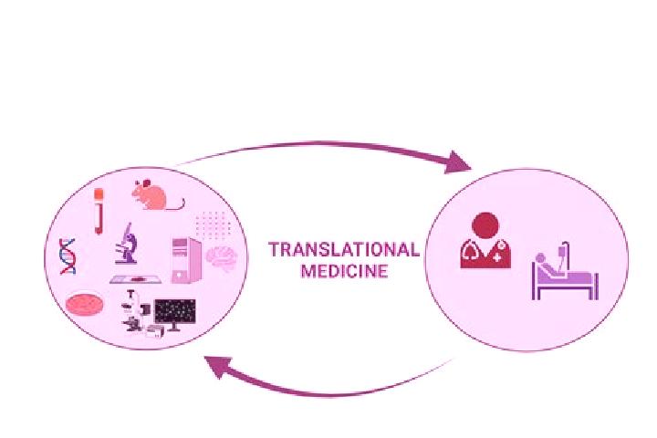 professionalmedicaltranslations.com