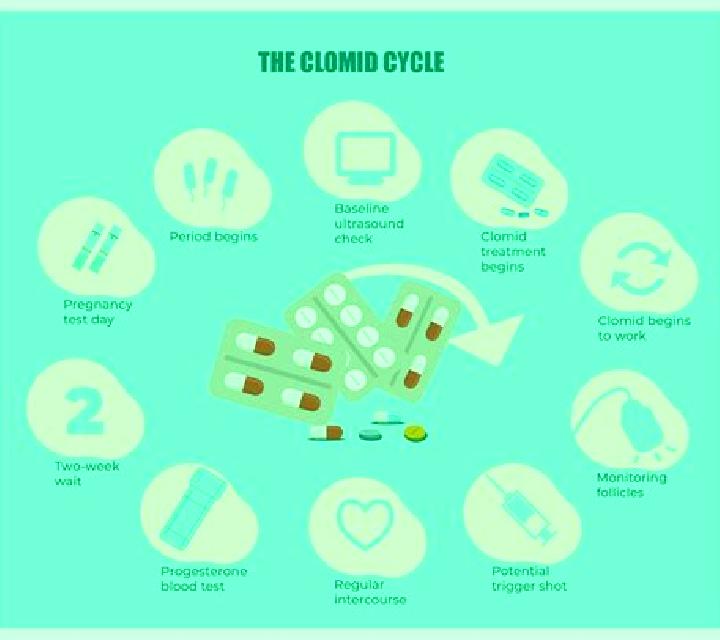Clomid clomid steroid cycle pharmacy