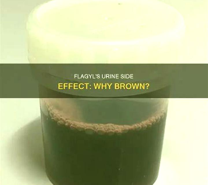 Flagyl brown urine from flagyl medication