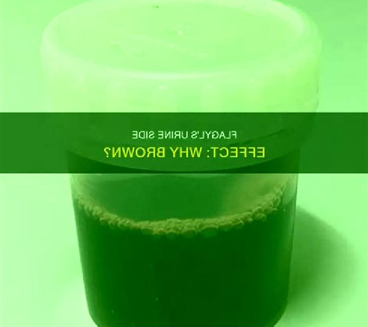 Flagyl brown urine from flagyl pharmacy