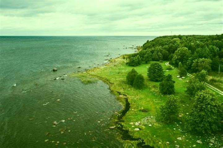 Flagyl can flagyl cause extreme fatigue pills