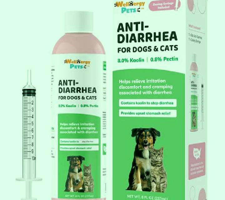 Flagyl canine flagyl diarrhea pills
