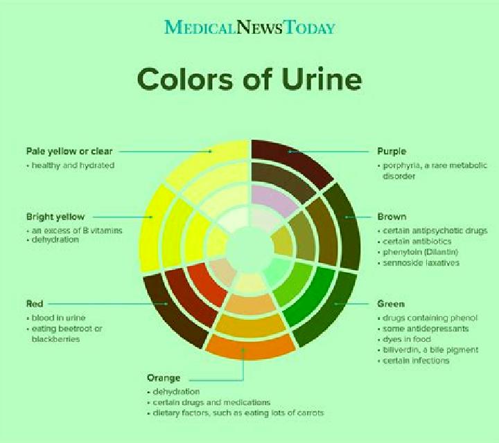Flagyl cipro flagyl urine color medication