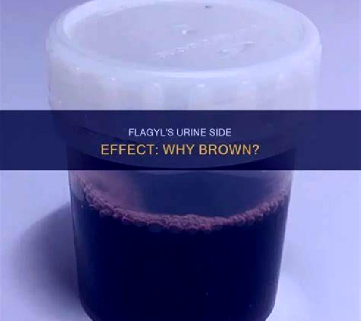 Flagyl dark urine after flagyl pills
