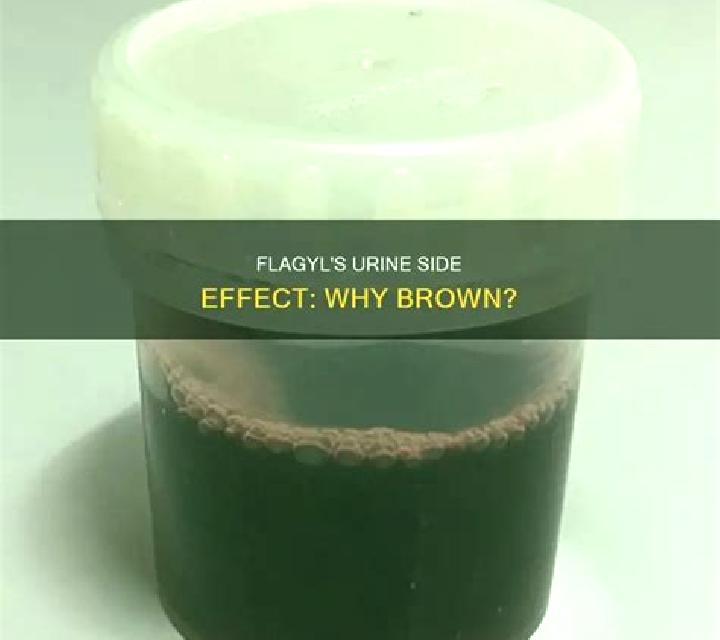 Flagyl dark urine after flagyl tablet