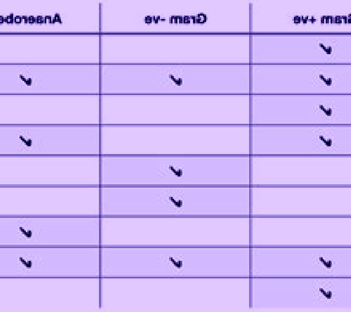 Flagyl does flagyl cover gram negative rods pills