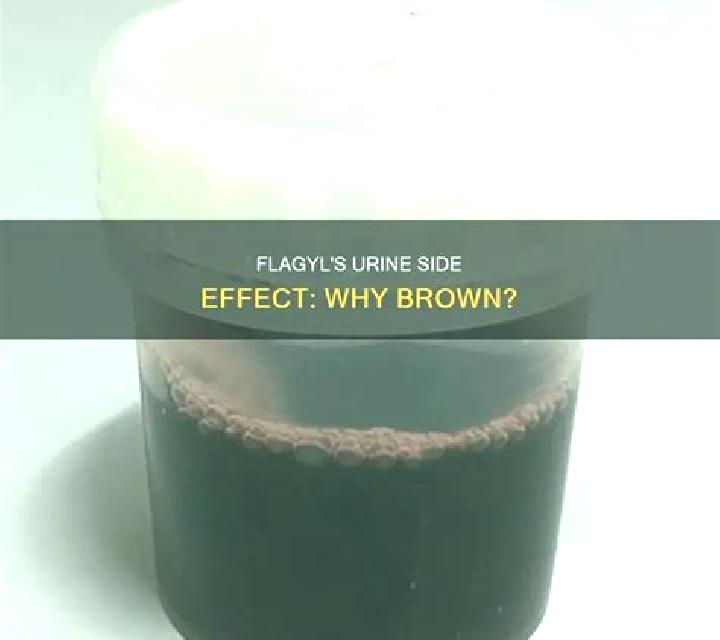 Flagyl does flagyl turn urine brown pharmacy
