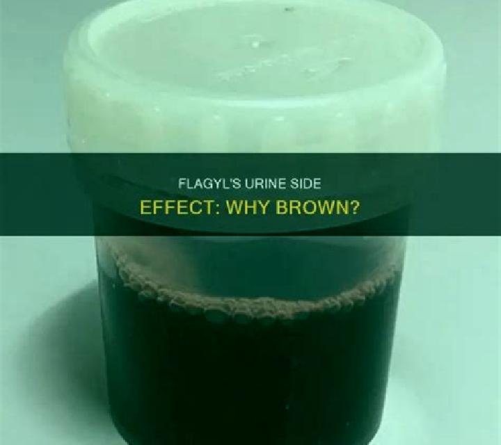 Flagyl flagyl cause brown urine medication