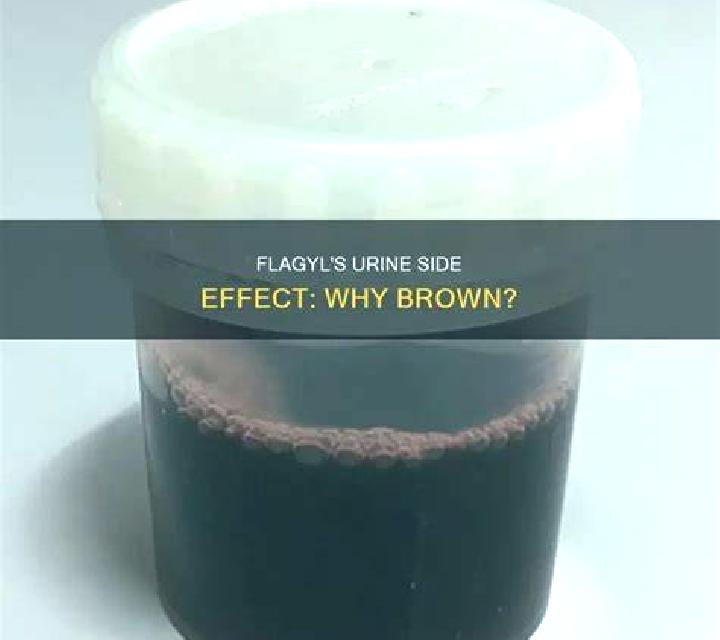 Flagyl flagyl cause brown urine pharmacy