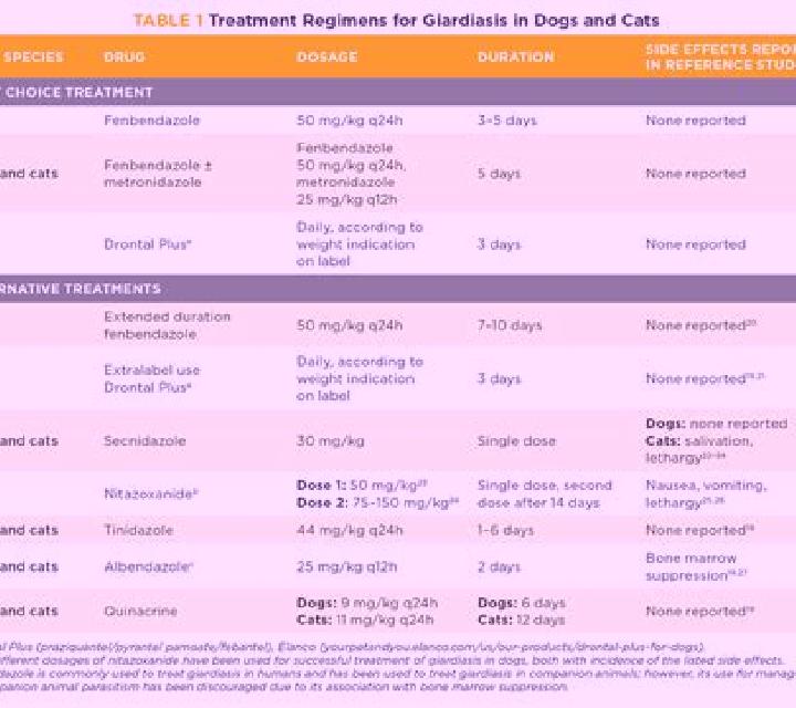 Flagyl flagyl giardia dog pharmacy