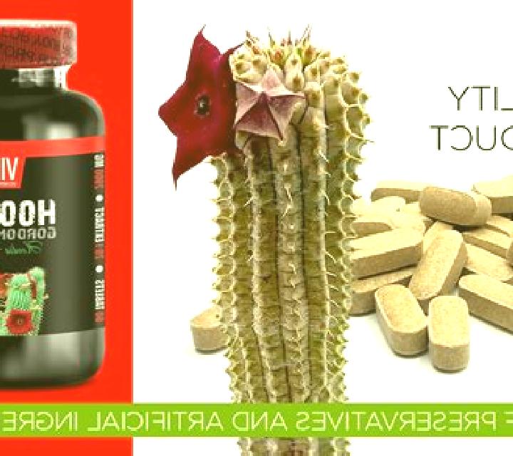 Hoodia pills
