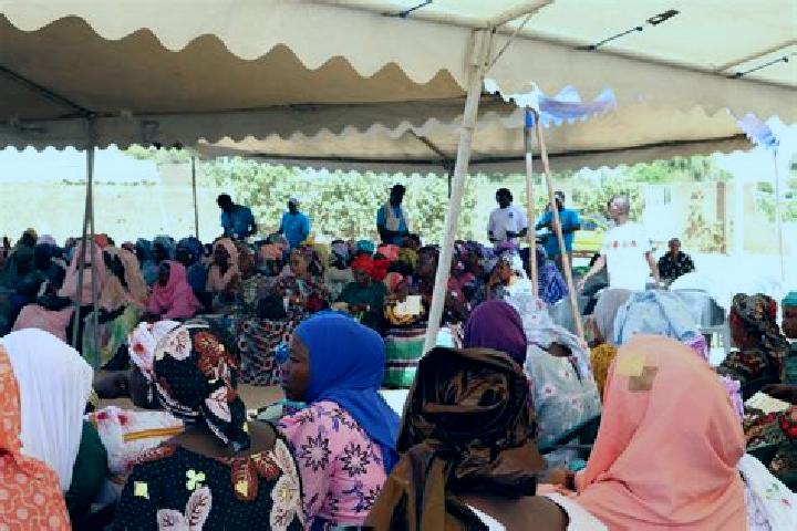 Kamagra ajanta pharma kamagra fake medication