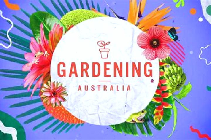 Kamagra kamagra hong kong medication