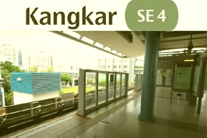 Kamagra kamagra vs levitra medication