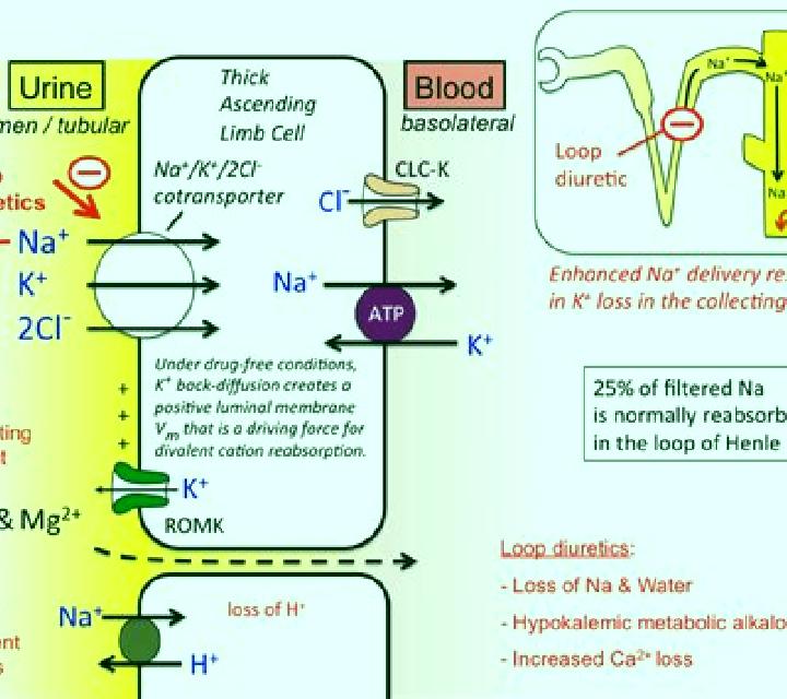Lasix contraction alkalosis lasix medication