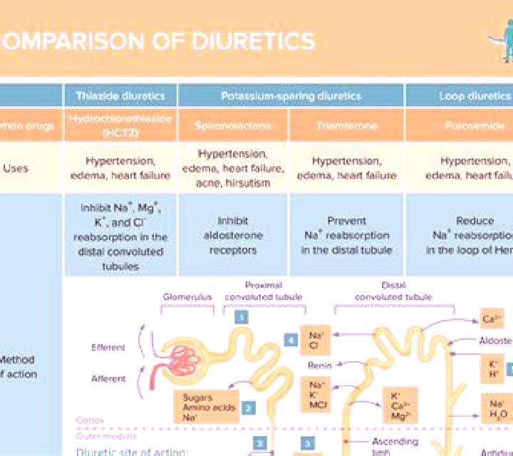 Lasix is lasix potassium sparing diuretics pills