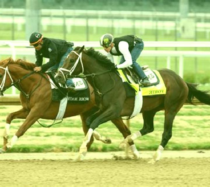 Lasix kentucky derby 2018 horses lasix pharmacy
