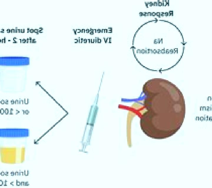 Lasix lasix and acute renal failure pills