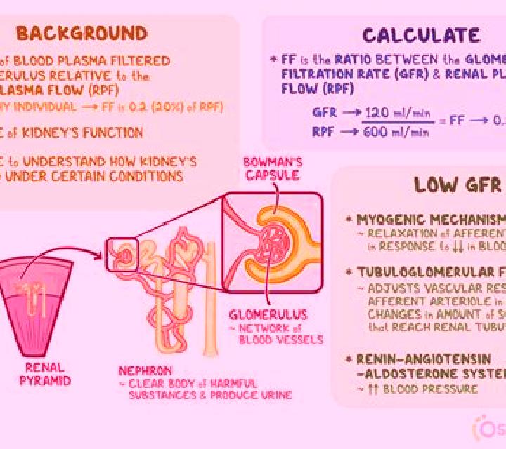 Lasix lasix and gfr medication