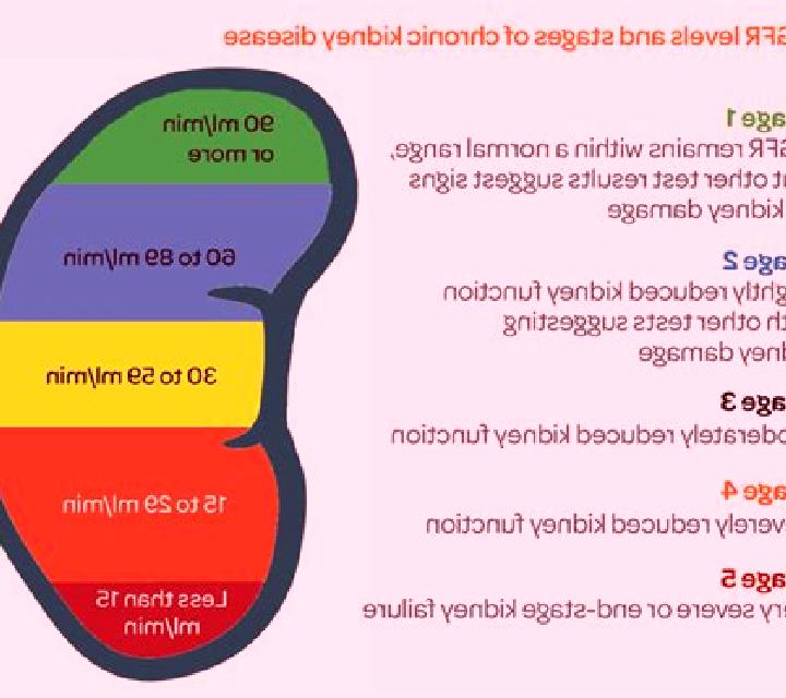 Lasix lasix creatinine levels pills