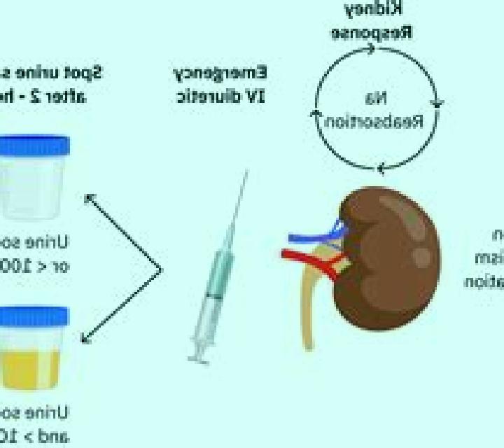 Lasix lasix in ckd patients pharmacy