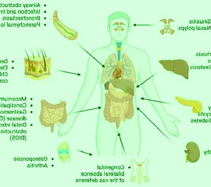 Lasix which body systems are affected by lasix pharmacy