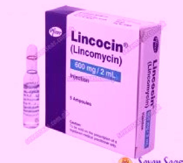 Lincocin pharmacy