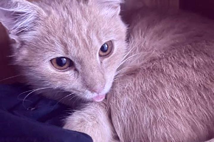 Neurontin are neurontin a narcotic medication