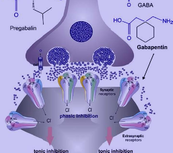 Neurontin does neurontin increase prolactin pharmacy