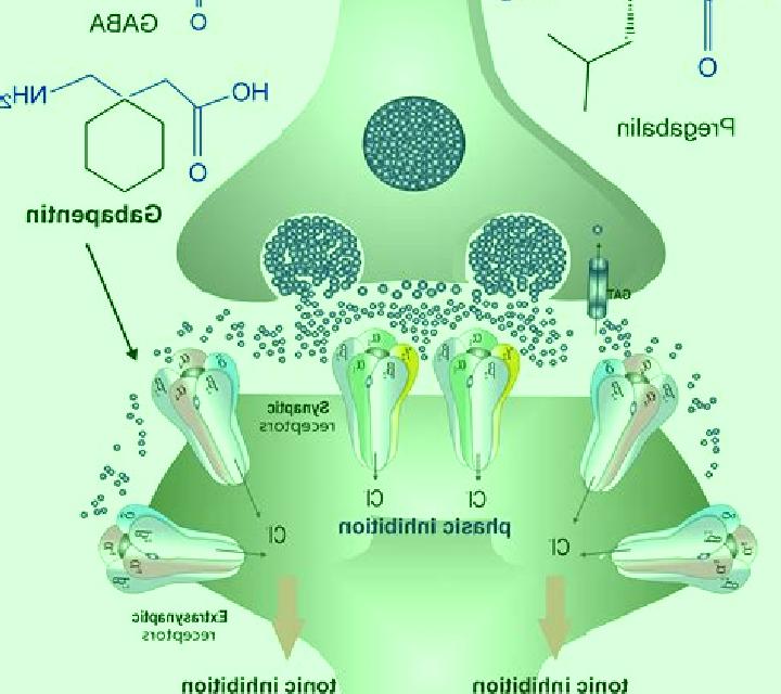 Neurontin does neurontin kill brain cells and synapse pharmacy