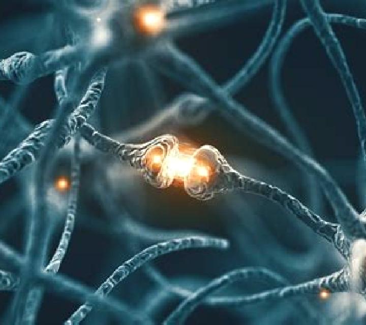 Neurontin does neurontin kill brain cells and synapse pills
