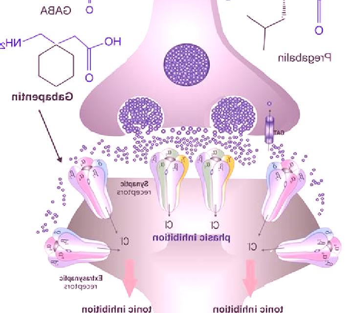 Neurontin does neurontin work right away pharmacy