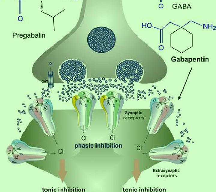 Neurontin how does neurontin work for bipolar medication