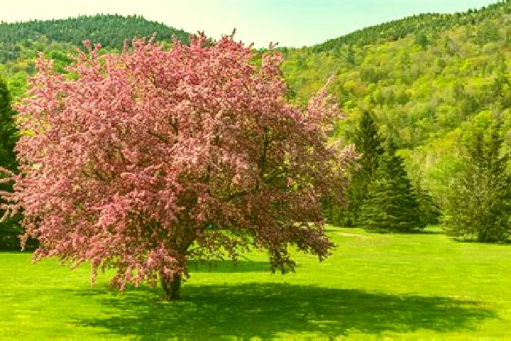 Neurontin neurontin causes neuropathy to get worse pharmacy